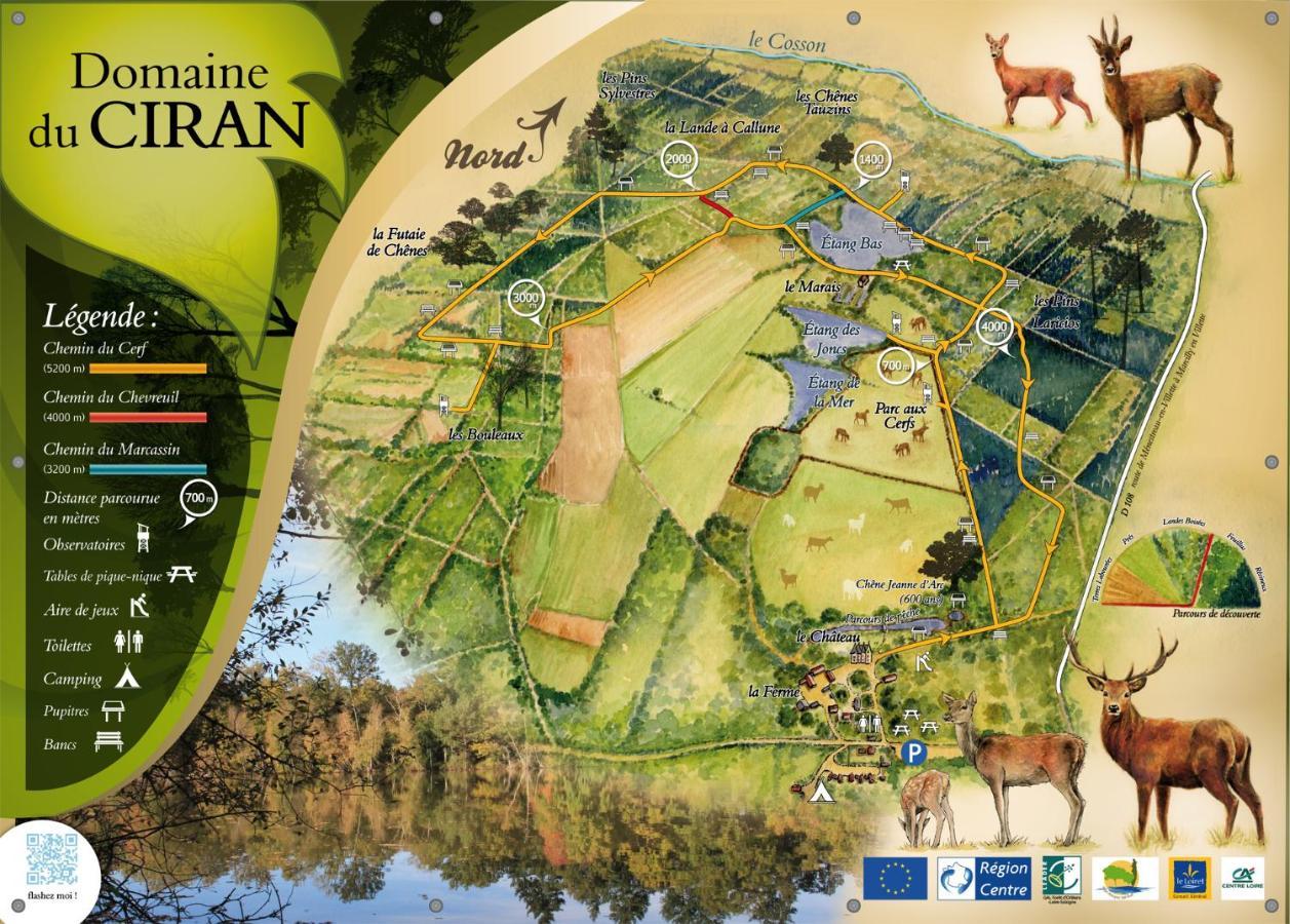 Le Cocoon D'Annabelle - Jolie Maison Avec Jeux Et Grand Jardin Pierrefitte-sur-Sauldre Esterno foto